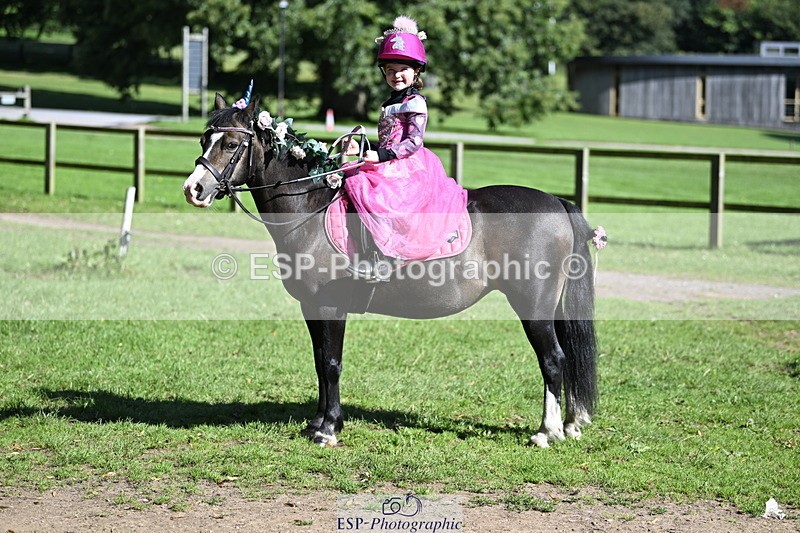 240728B-094434-00102 - Sunday Stable Shots and Fancy Dress