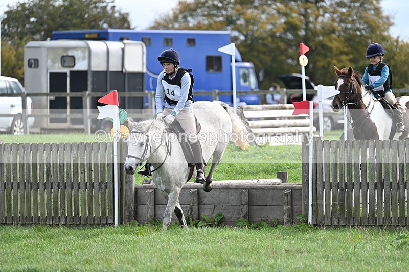 WJ7_8439 - 60cm Pairs