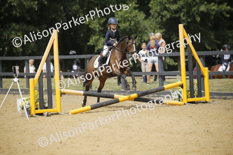 20250622-4107 - 50cm