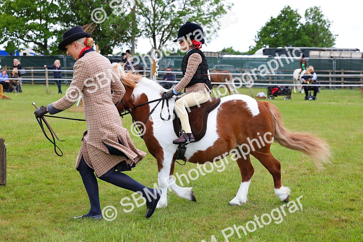 SBM_08228 - Class 42-43 - LIHS BSPS Heritage Working Sports Pony