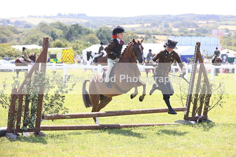 JPP_2183 - Class 20: Tiny Tots Working Hunter Pony