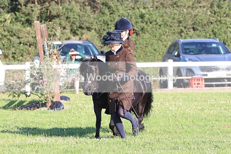 JPP_0851 - Class 16: Cornish Combination Leading Rein