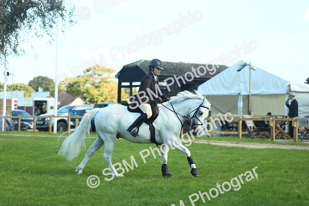 SBM_39225 - S29 - Novice & Newcomers Working Hunter Pony