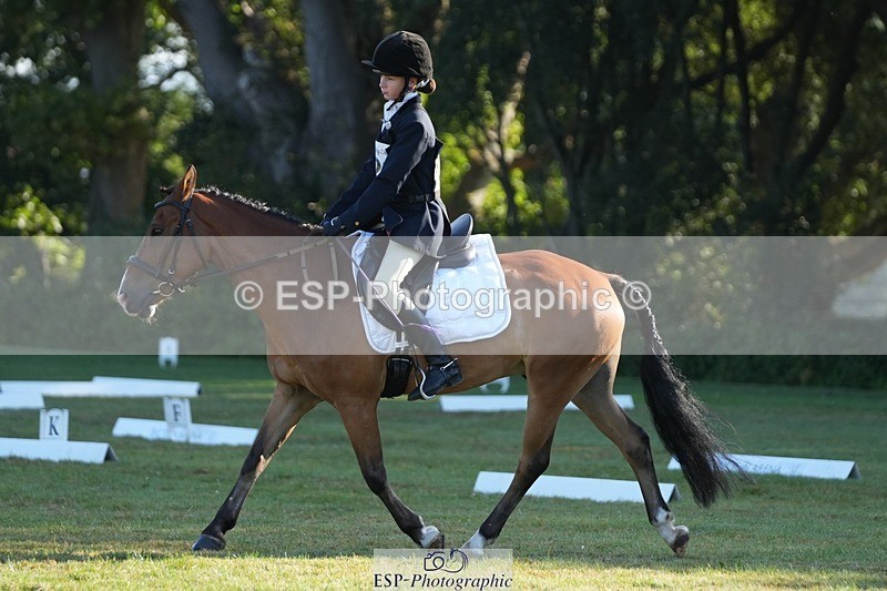 250823A-084011-25352 - Arena B