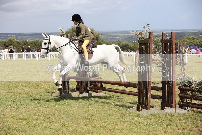 JPP_2102 - Class 19: Working Hunter 60cm