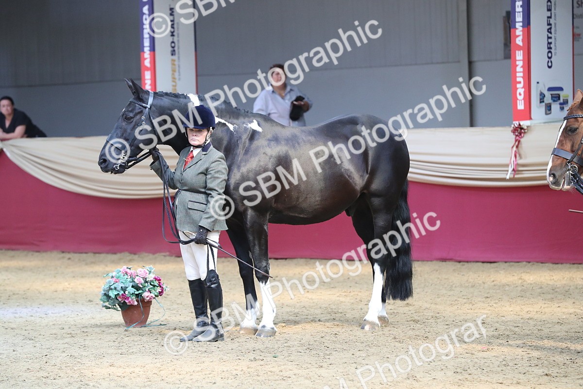 SBM_06552 - Regional IH Champ