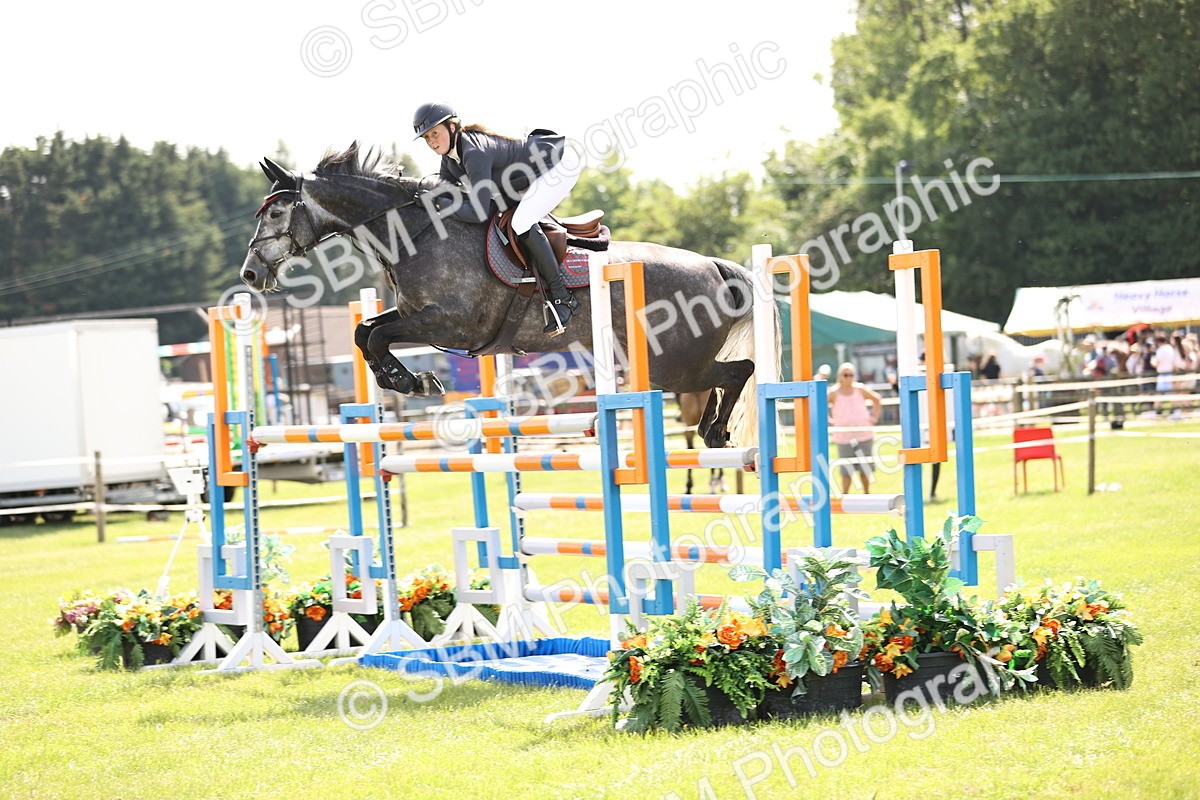 SBM_03237 - Class 201 - British Horse Feedds Speedi Beet HOYS Grade C