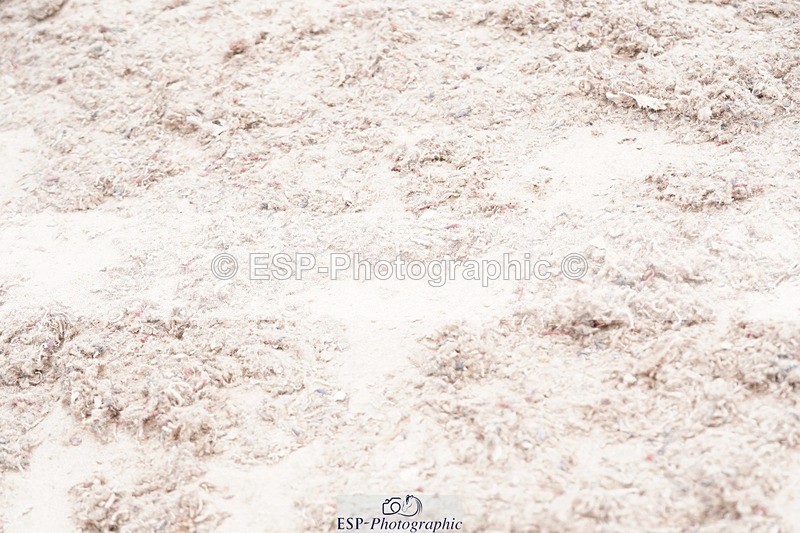 250505-152000-05081 - Cls 16 The Total Waste Management 128cm Grand Prix