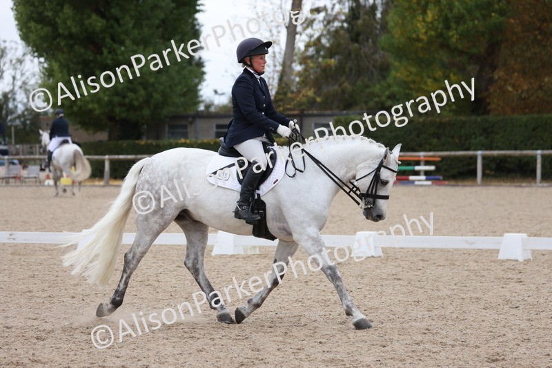 20250820-1170 - Class 17 - Elementary 4