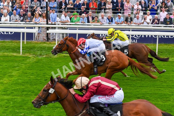 230823-Race 6-Designer-0809 - Race 6 4.45pm IRE Incentive, It Pays To Buy Irish Fillies' Handicap