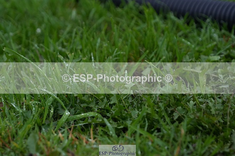 250920-142719-01446 - Cls 18-20 CoH 1.10m, 1.20m and 1.25m