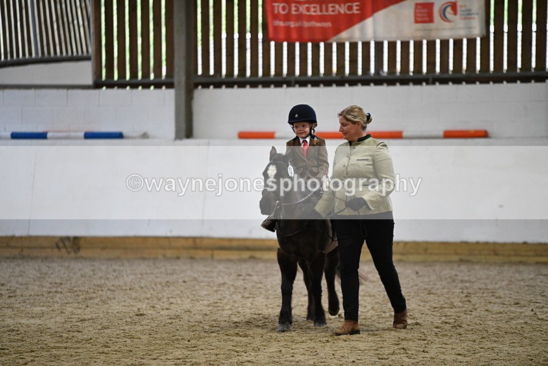 WJ5_6620 - Class 10 Childs Pony