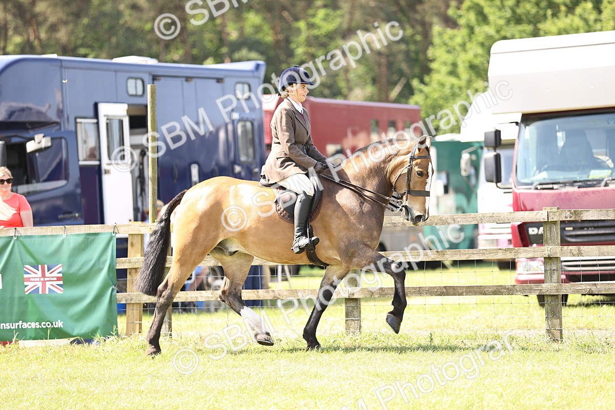 SBM_13692 - Class 77 - LIHS BSHA Rising Star Cobs