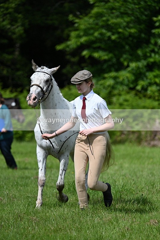 WJ7_1309 - Class 11 Condition & Turnout