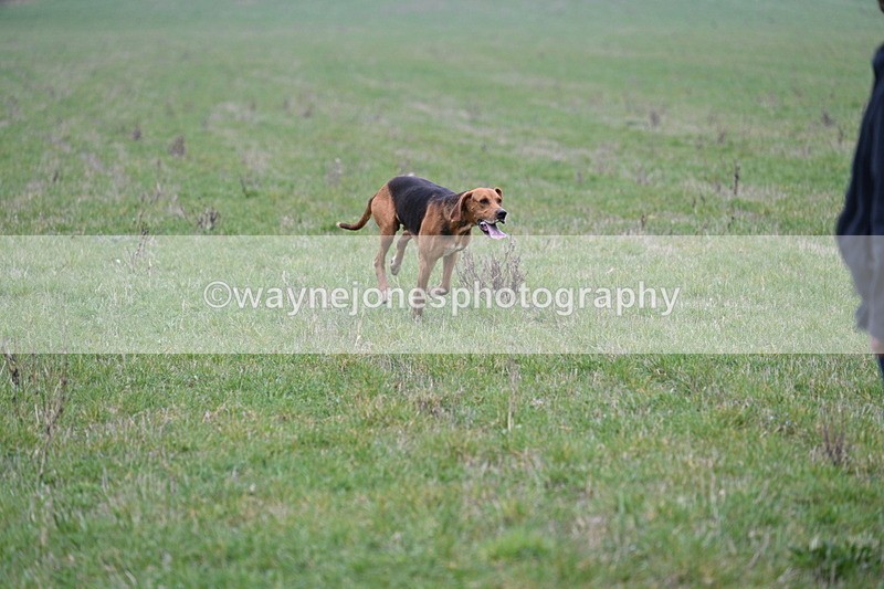 WJ7_7921 - A Camera