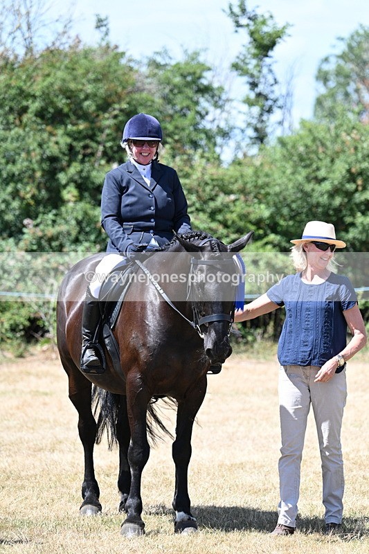 WJ7_3183 - Class 7 Riding Club Show Horse