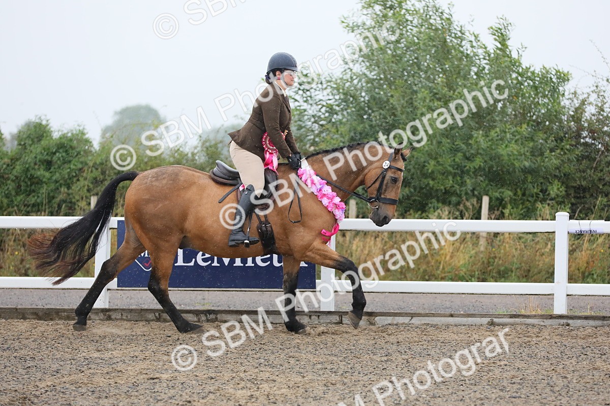 SBM_19991 - Class 801 - Ridden Veteran