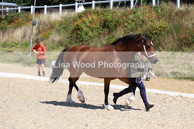 3E7A9555 - Class 32: Best Grass Kept