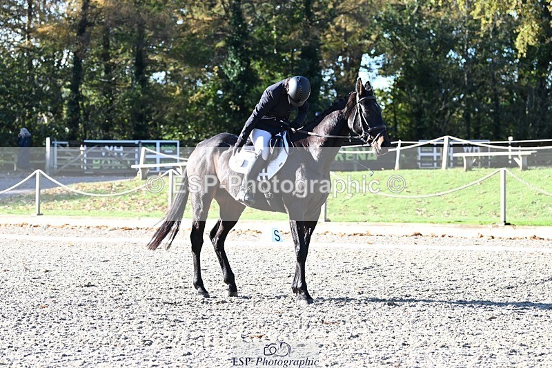 231110-101339-00029 - Cls 2 Prelim 17(a)Q