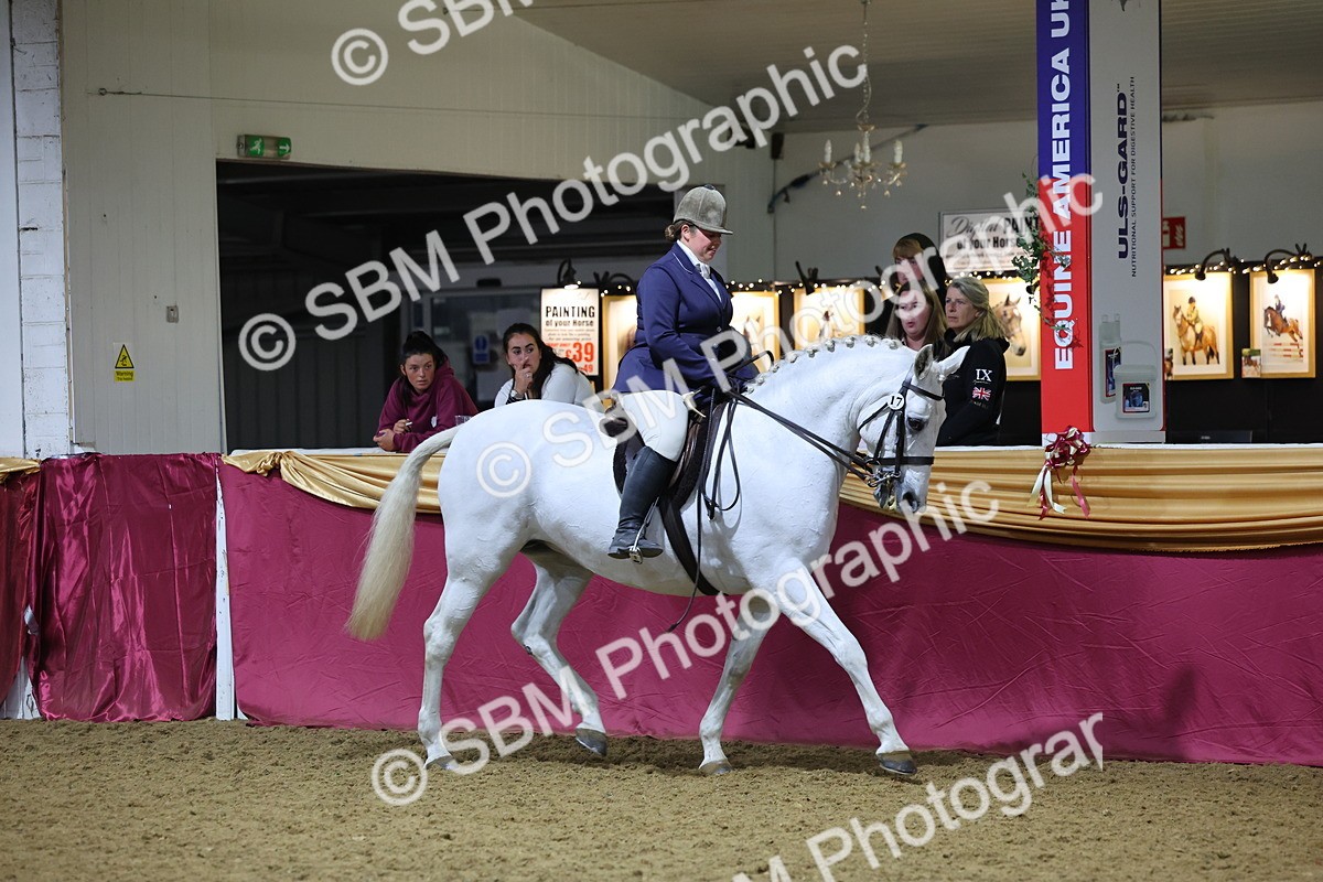 0B8A4485 - Class O Ridden Show Horse Champ