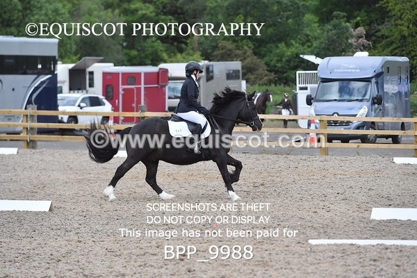 BPP_9988 - SHORT ARENA  MY QUEST PRELIM