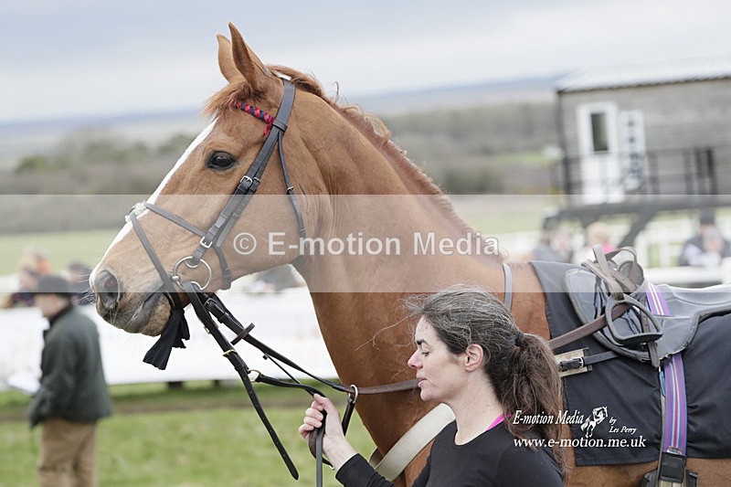 PtP 260323 0543 - New Forest Hounds Point-to-Point Larkhill 26/03/23