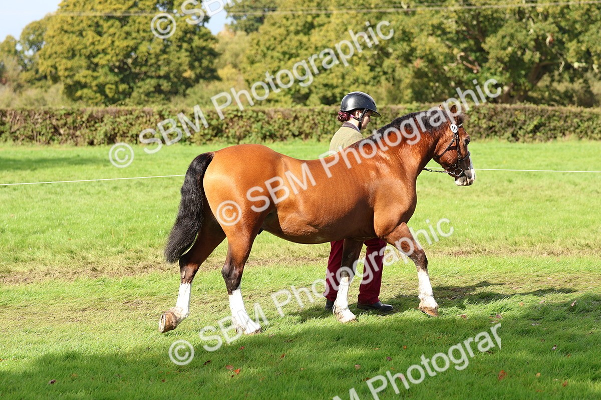 SBM_39413 - S24 - Young Veteran In Hand