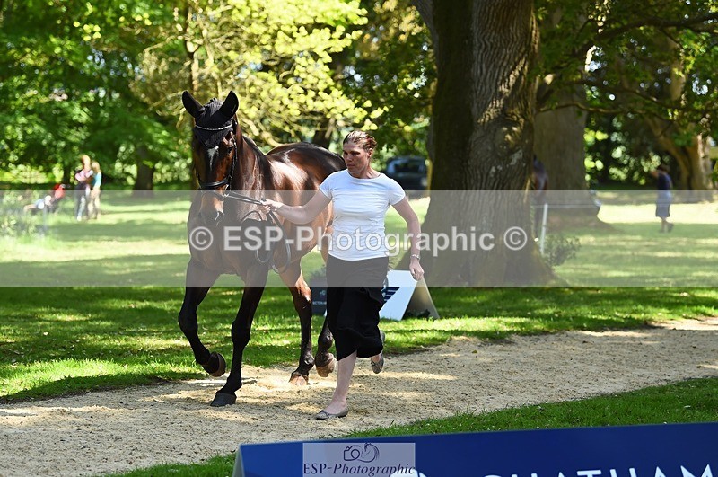 230524-153138-00332 - 353-THE_RIPPER-Bundy_Philpott-WEDTrotUp+DR