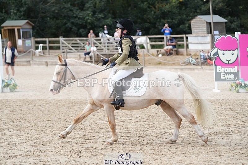 250821A-103824-14121 - WC Round 2 10.00 to 11.00