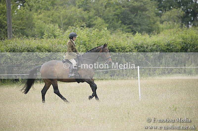 B230619-0707 - Bourne Valley Riding Club Summer Show 23/06/19