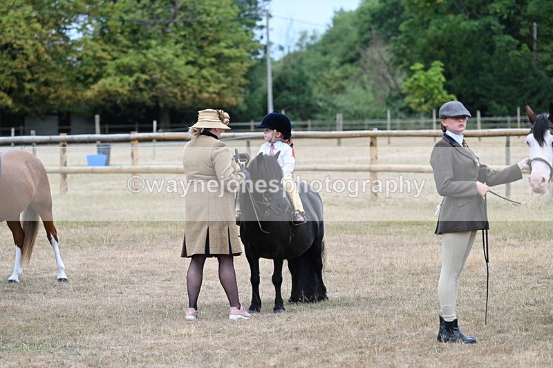 WJ7_8208 - Class 4 Prettiest Mare up to 14.2hh