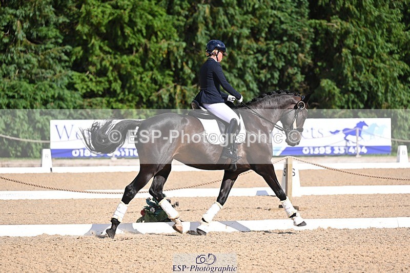 240809-162516-02369 - Preliminary Gold