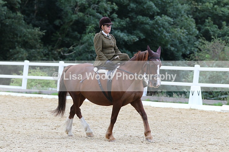 0I1A7104 - Class 9: Prelim Freestyle to Music
