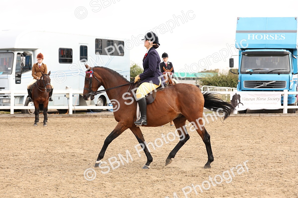 SBM_01572 - Class 52 - Ridden Veteran