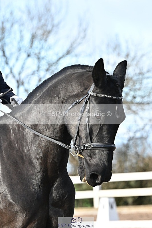 241214-133458-02488 - 156-Jo.Roberts-MajesticC