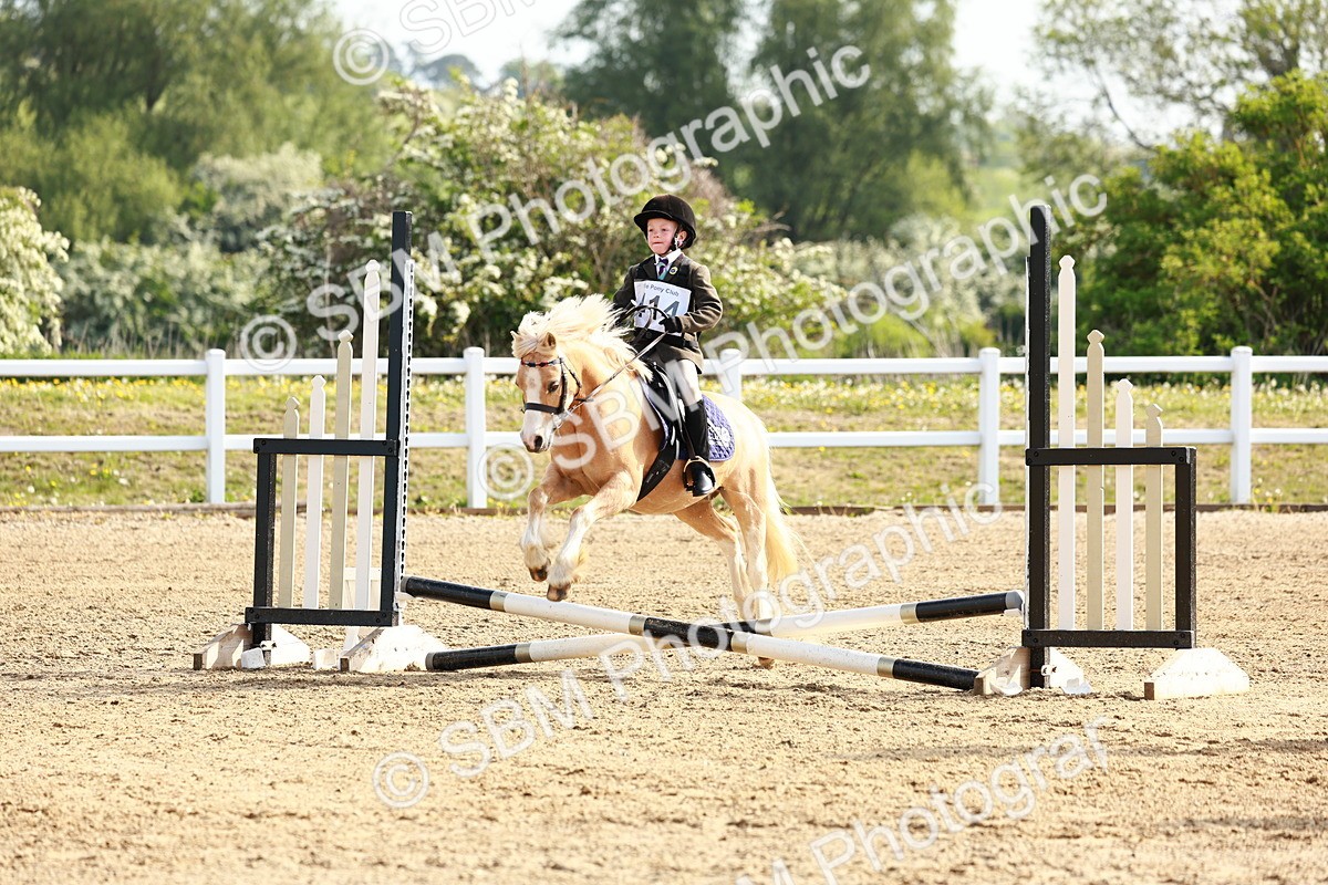 SBM_006380 - Class 1 - 40cm