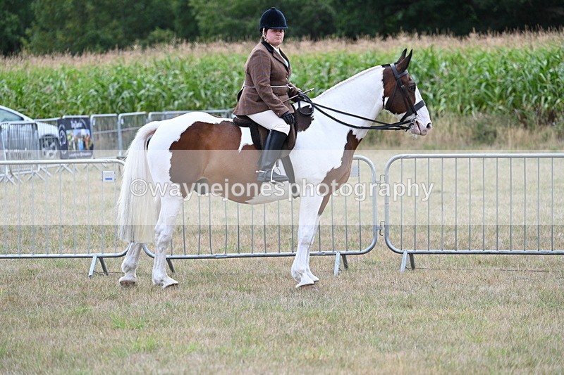 WJ7_5335 - Class 12 Ridden Cob
