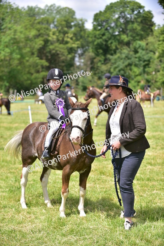 20260614-1421 - Class 11b - Lead Rein Pony (Plaited)