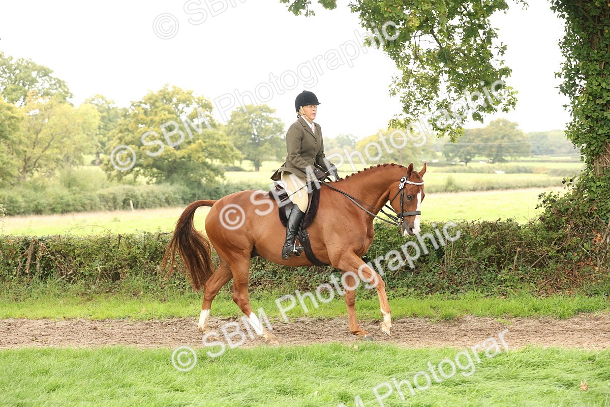 SBM_64205 - S65 - Riding Horse & Hack & Thoroughbred Ridden