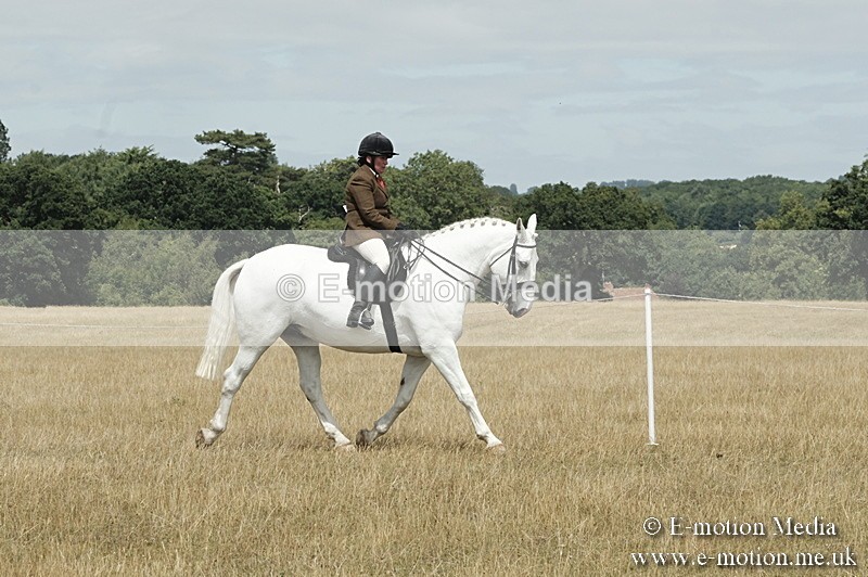 _PJP6005 - BVRC Show 2018 Ring 1