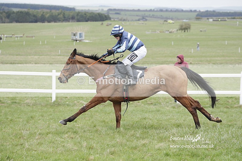 PtP 260323 0524 - New Forest Hounds Point-to-Point Larkhill 26/03/23