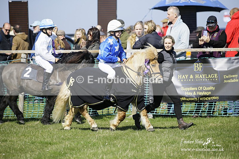 PtP 190322 116 - Wilton Hunt PtP Milborne St Andrew 19/03/22