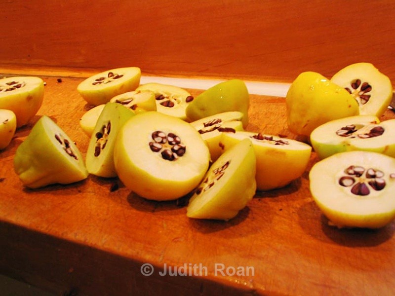 Quince-9 - Quince Jelly