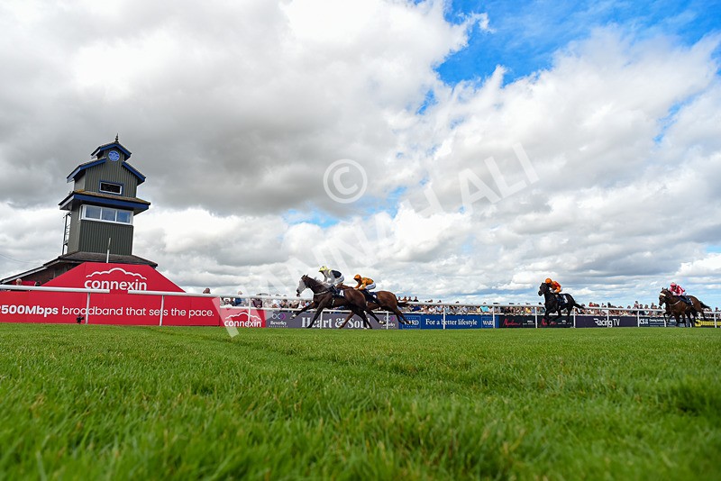040726-Race 2-Rosberg-5789 - Race 2 14.52pm Matthew Ireland Memorial EBF Maiden Stakes