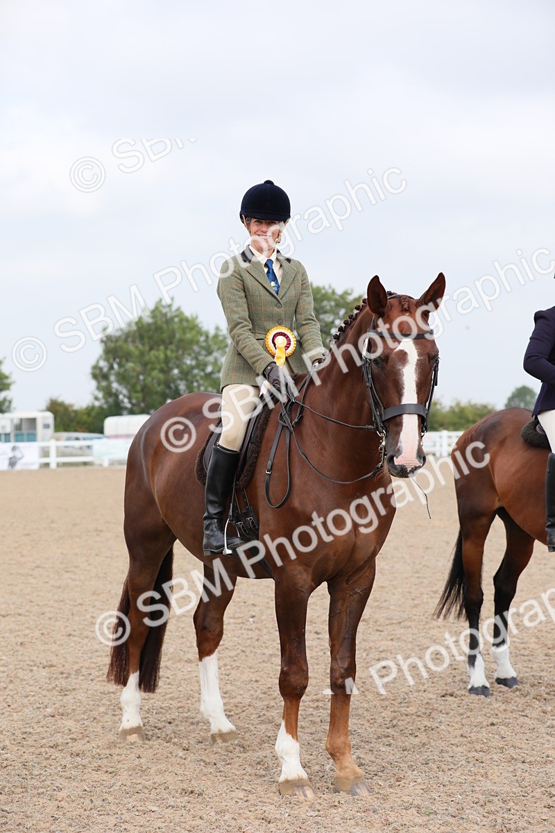 SBM_11483 - Class 305 Ridden Foreign Breeds- Pure Bred