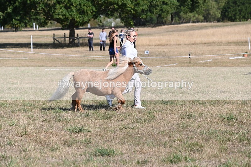 WJ6_7259 - Class 33 Rescue Pony