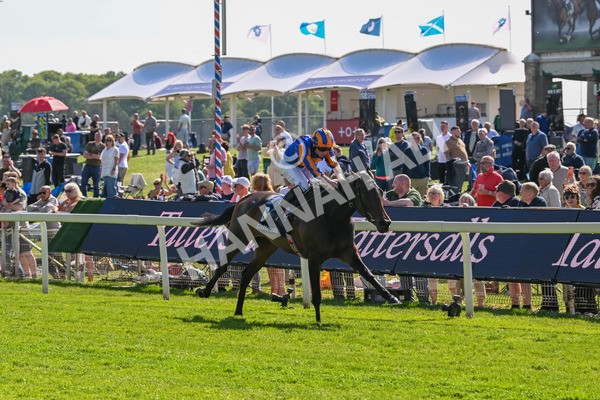 140525-Race 4-Whirl-2429 - Race 4 3.45pm Tattersalls Musidora Stakes