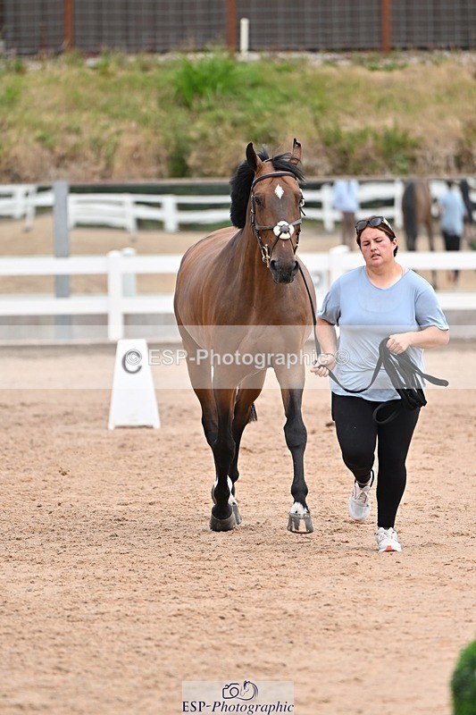 250716-135752-00818 - Trot Up 1.30 to 2.30