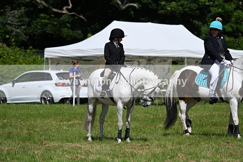 WJ7_1738 - Class 9 Pony Club Pony