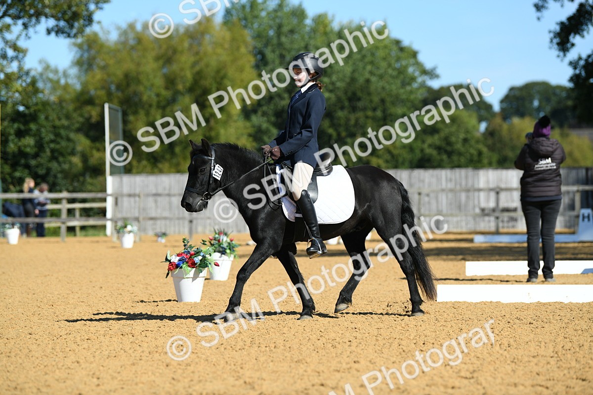 SBM_18185 - D4 - Small Tour Championship - Intro B